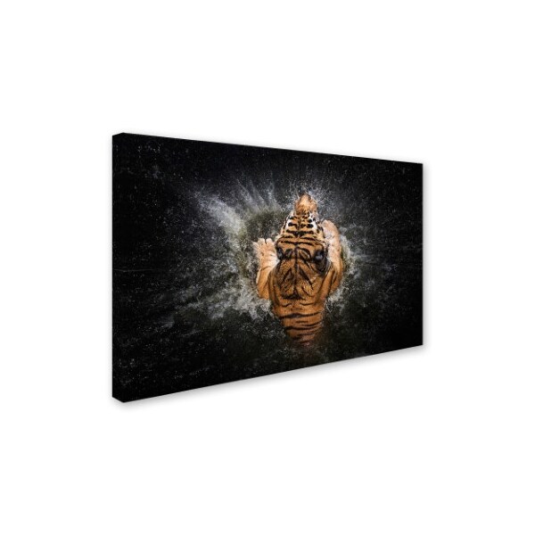 Win Leslee 'Tiger Splash' Canvas Art,22x32